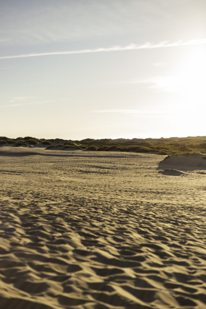 dania - północna jutlandia - skagen - rabjer mile - dunska pustynia
