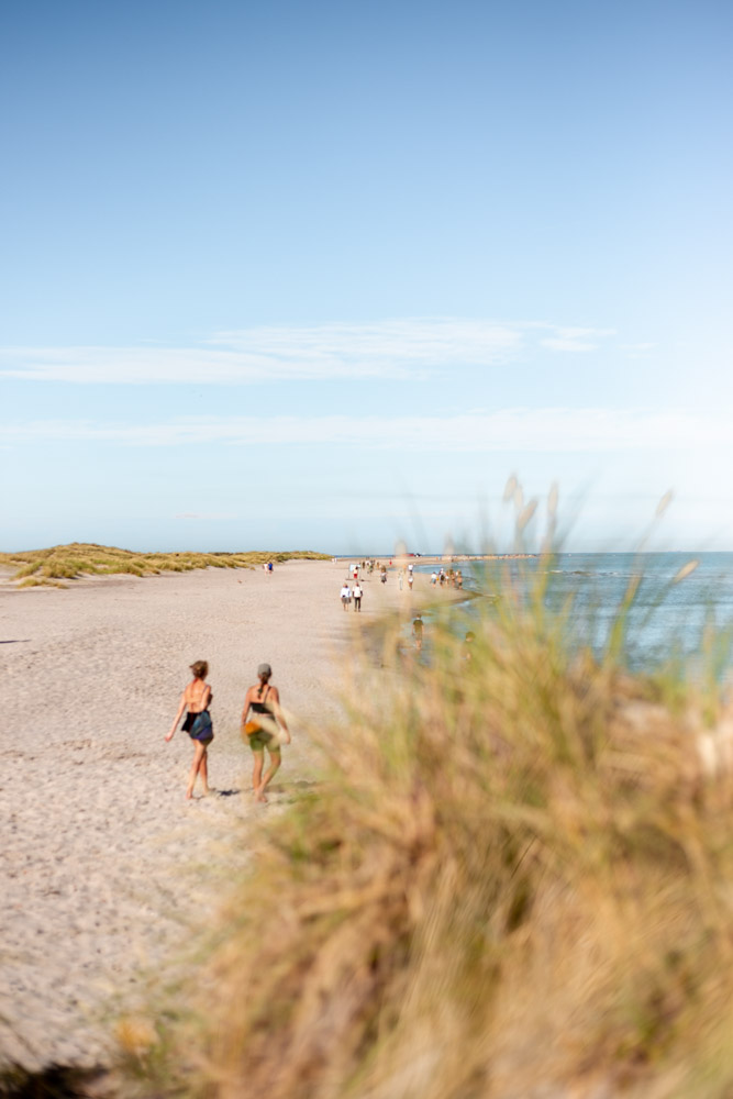 północna dania plaże skagen