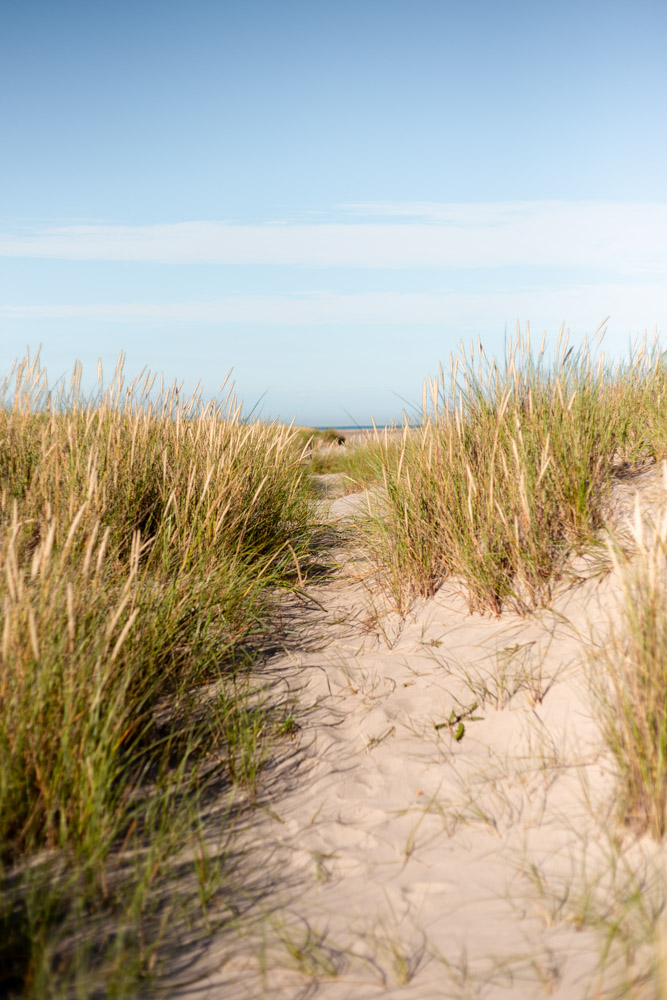 północna dania plaże skagen