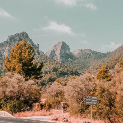 RANDERS REGNSKOV | ATRAKCJE DANII