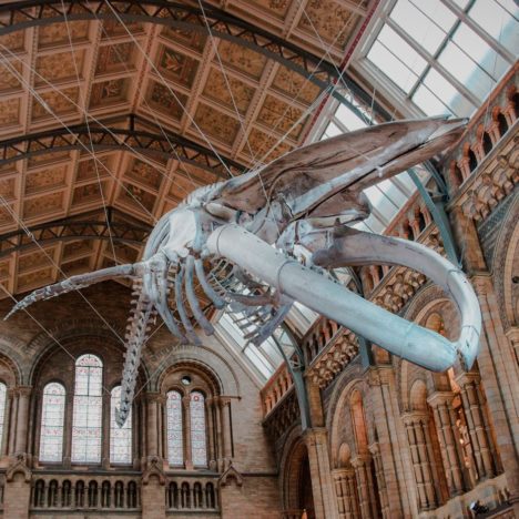 3 SKLEPY W LONDYNIE Z NAJLEPSZYMI SOUVENIRAMI Z HARRY’EGO POTTERA