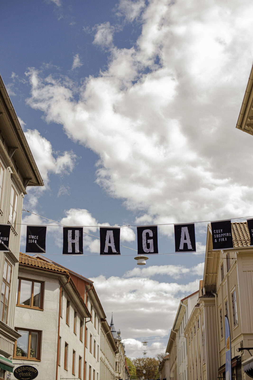 haga goteborg