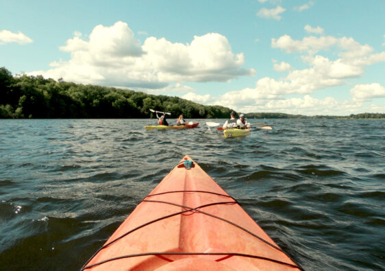 spływ kajakami w danii