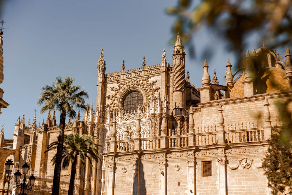katedra w sewilla