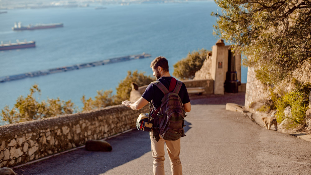 gibraltar, skała gibraltarska