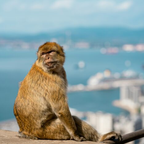 Najlepsze miejsca do pracy zdalnej w trasie