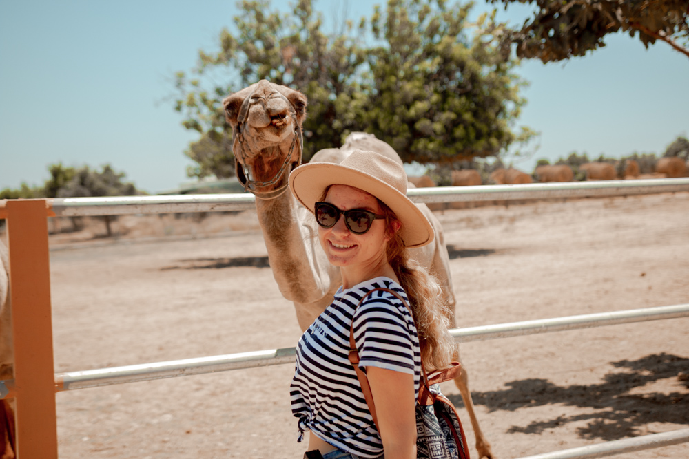 CAMEL PARK, larnaka atrakcje, atrakcje cypru dla dzieci